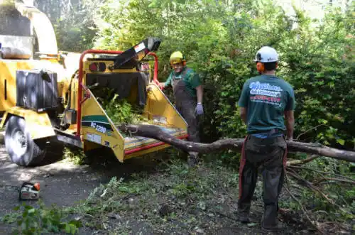 tree services Riverton